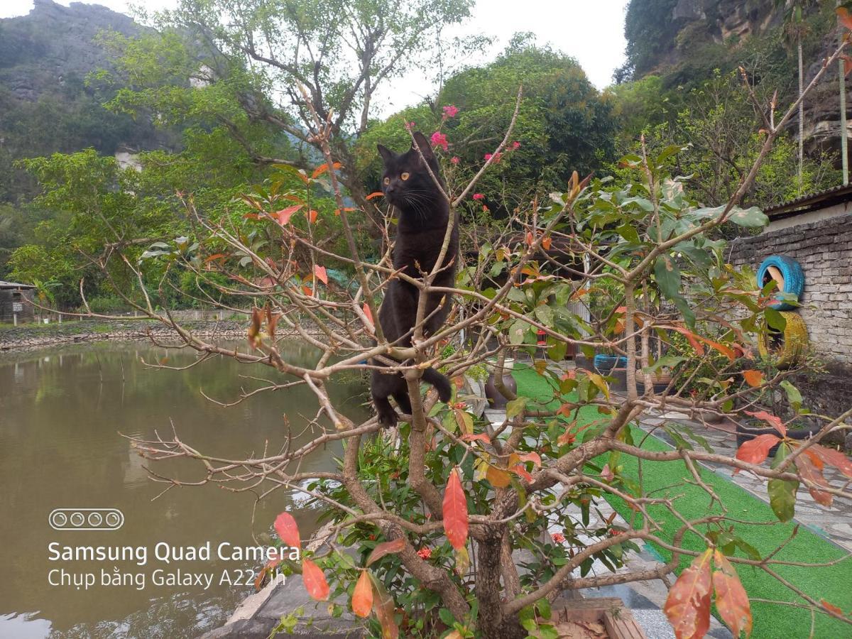 Trang An Pristine View Homestay Ninh Binh Eksteriør bilde